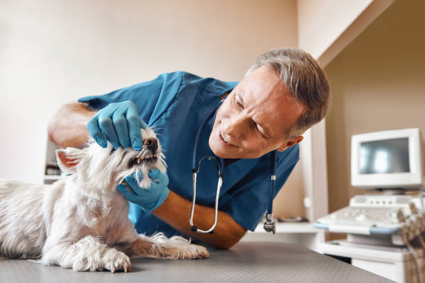 Best Emergency Tooth Extraction in Folsom, NJ